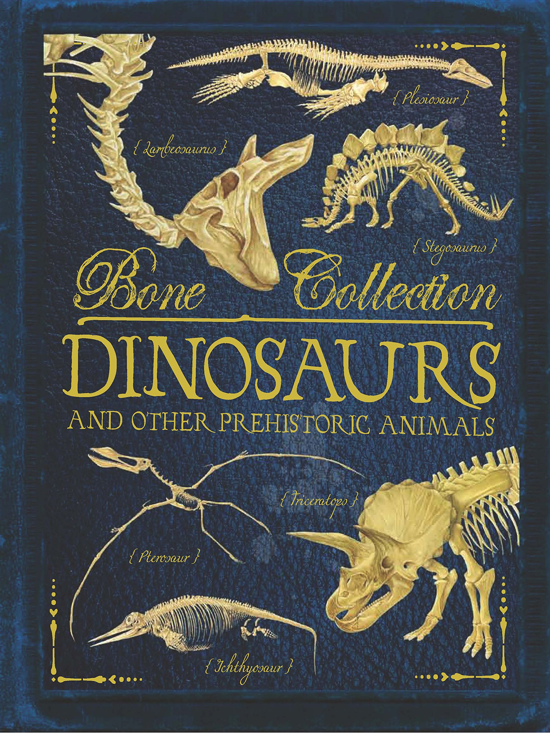 Bone Collections: Dinosaurs | Rob Colson