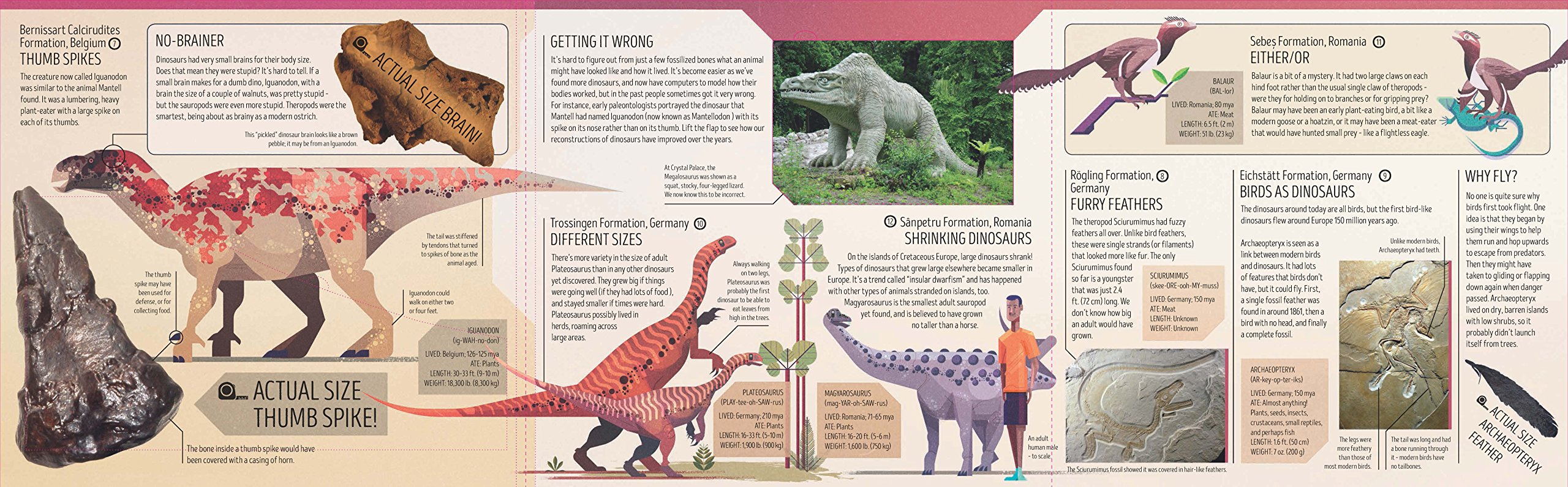 Dinosaur Atlas | Lonely Planet Kids