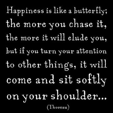 Magnet - Happiness Is Like A Butterfly | Quotable Cards