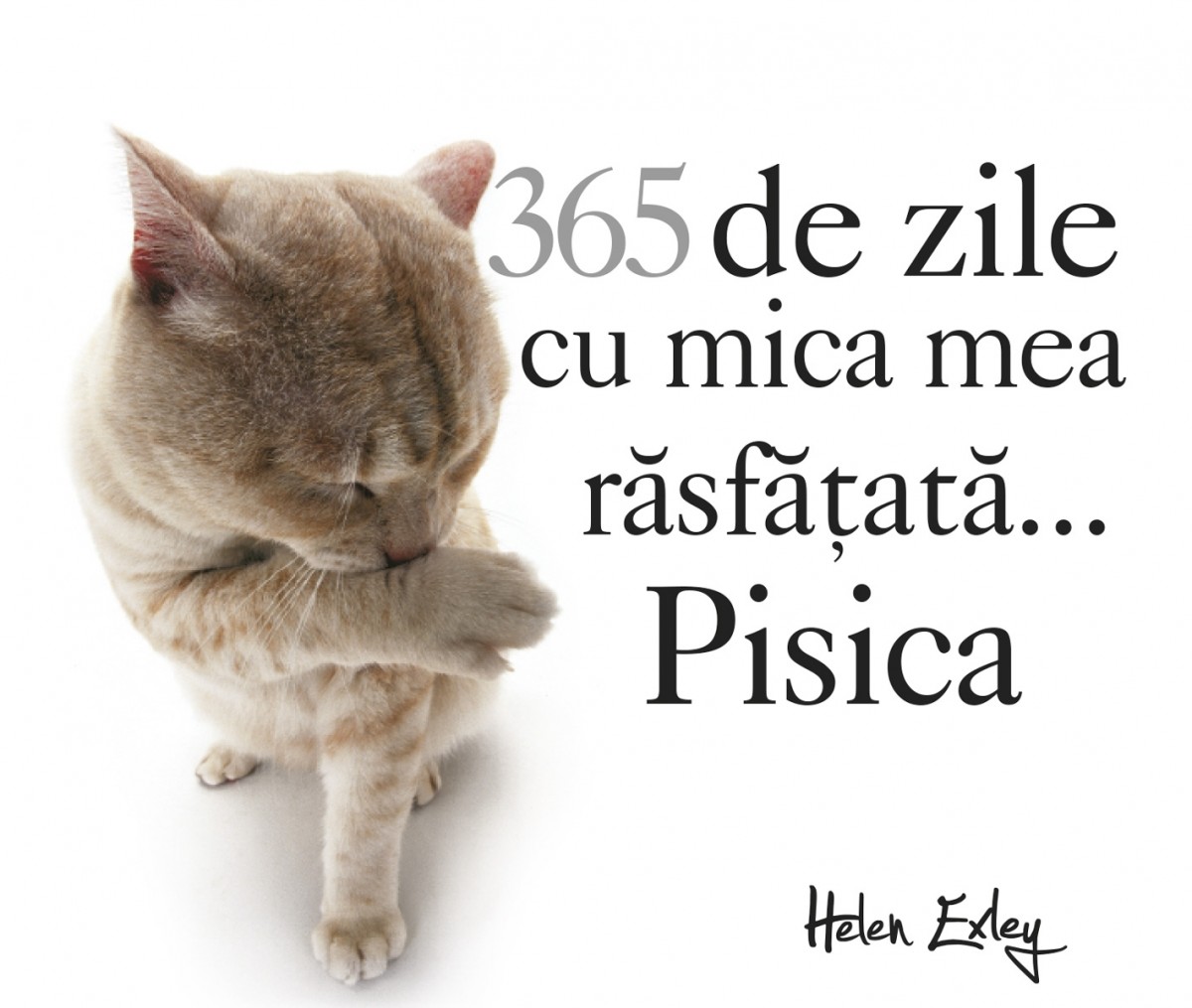 365 de zile cu mica mea rasfatata... Pisica |