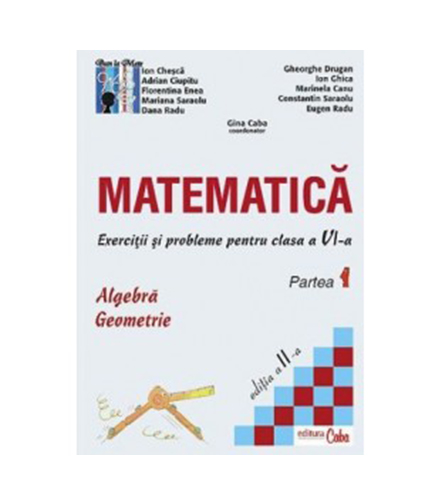 Matematica - exercitii si probleme pentru clasa a VI-a, partea I |