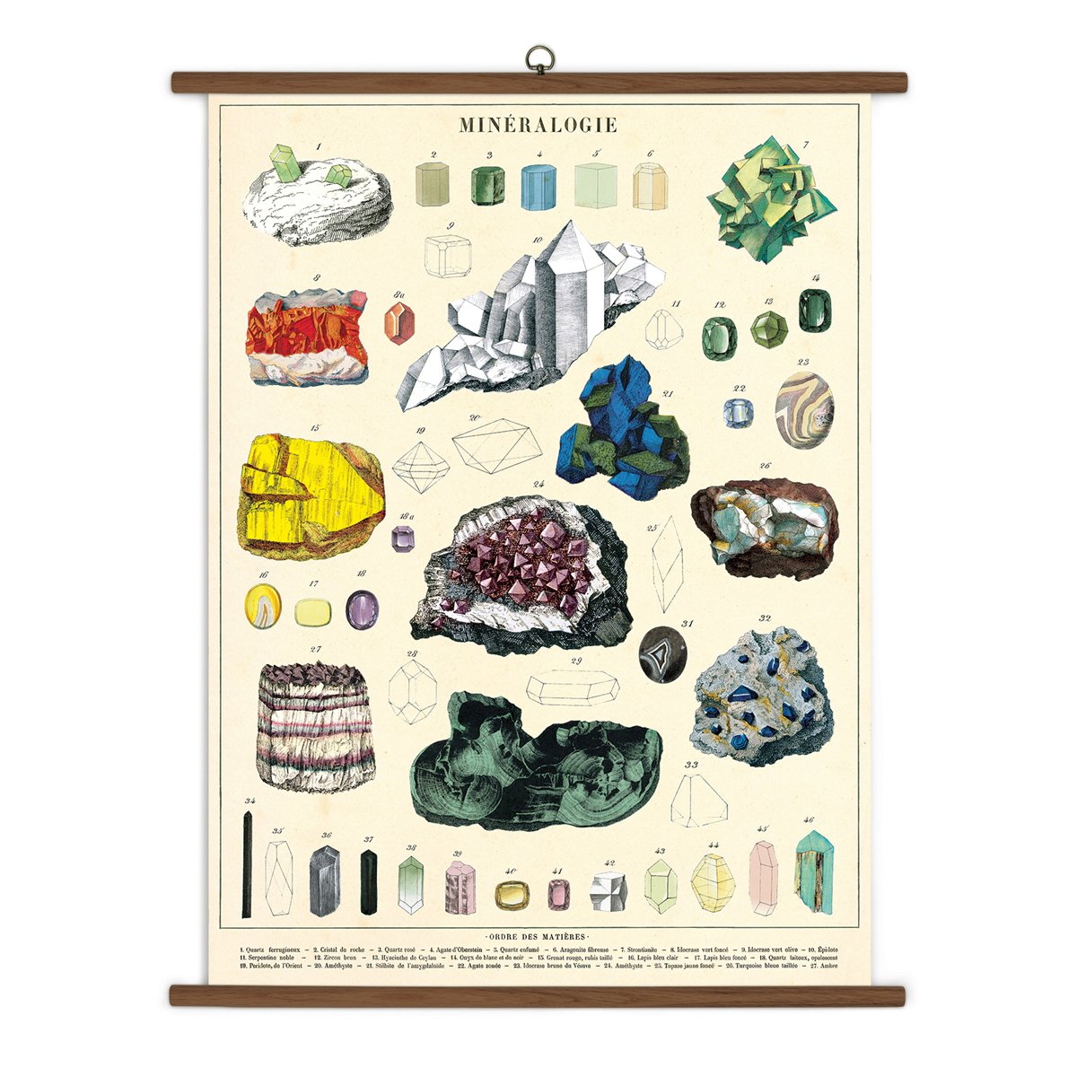 Poster vintage -Mineralogy | Cavallini Papers & Co. Inc.