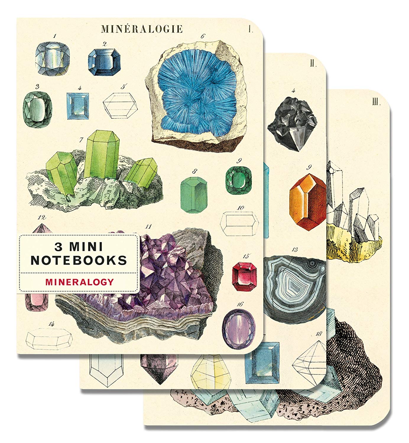 Set 3 carnete - Mineralogy | Cavallini Papers & Co. Inc.