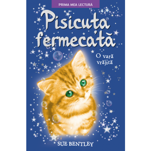 Pisicuta fermecata | Sue Bentley