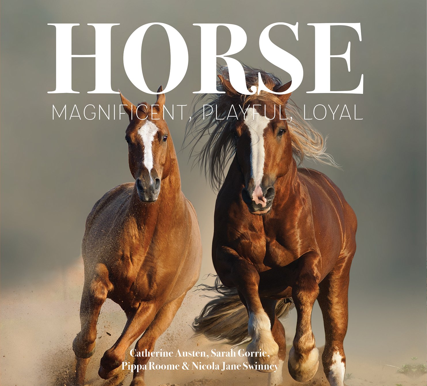 Horse: Magnificent, Playful, Loyal | Catherine Austen, Sarah Gorrie, Pippa Roome