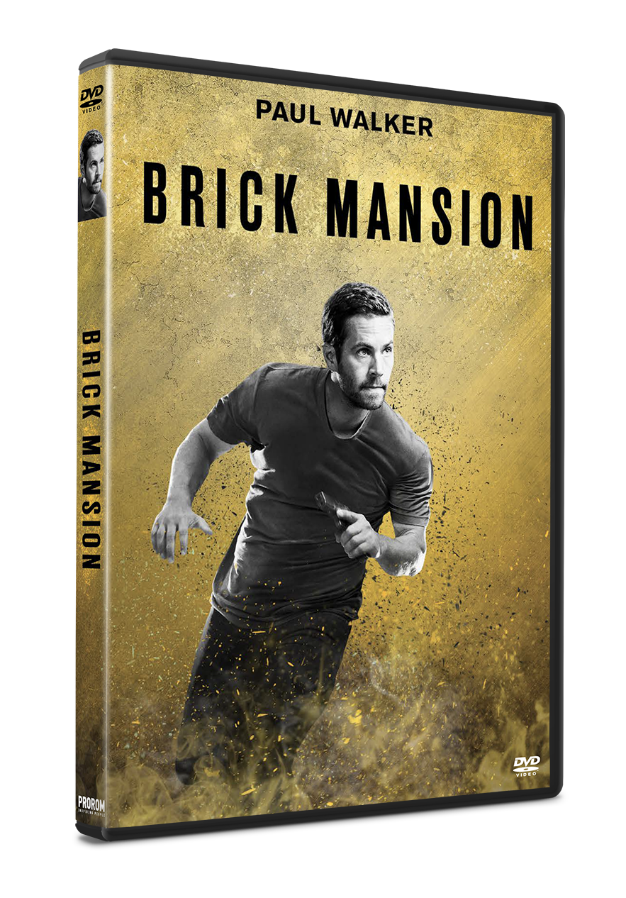 Zona de pericol / Brick Mansions | Camille Delamarre