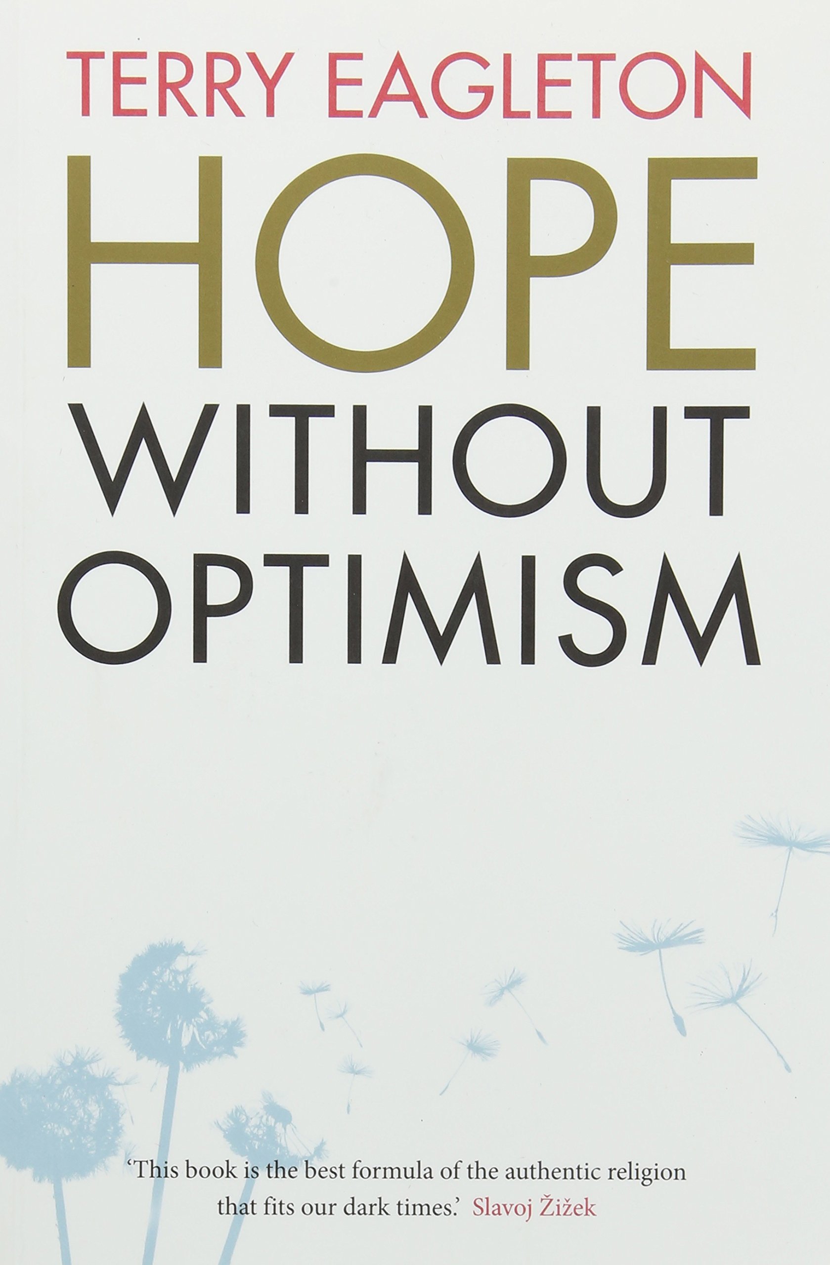 Hope Without Optimism | Terry Eagleton