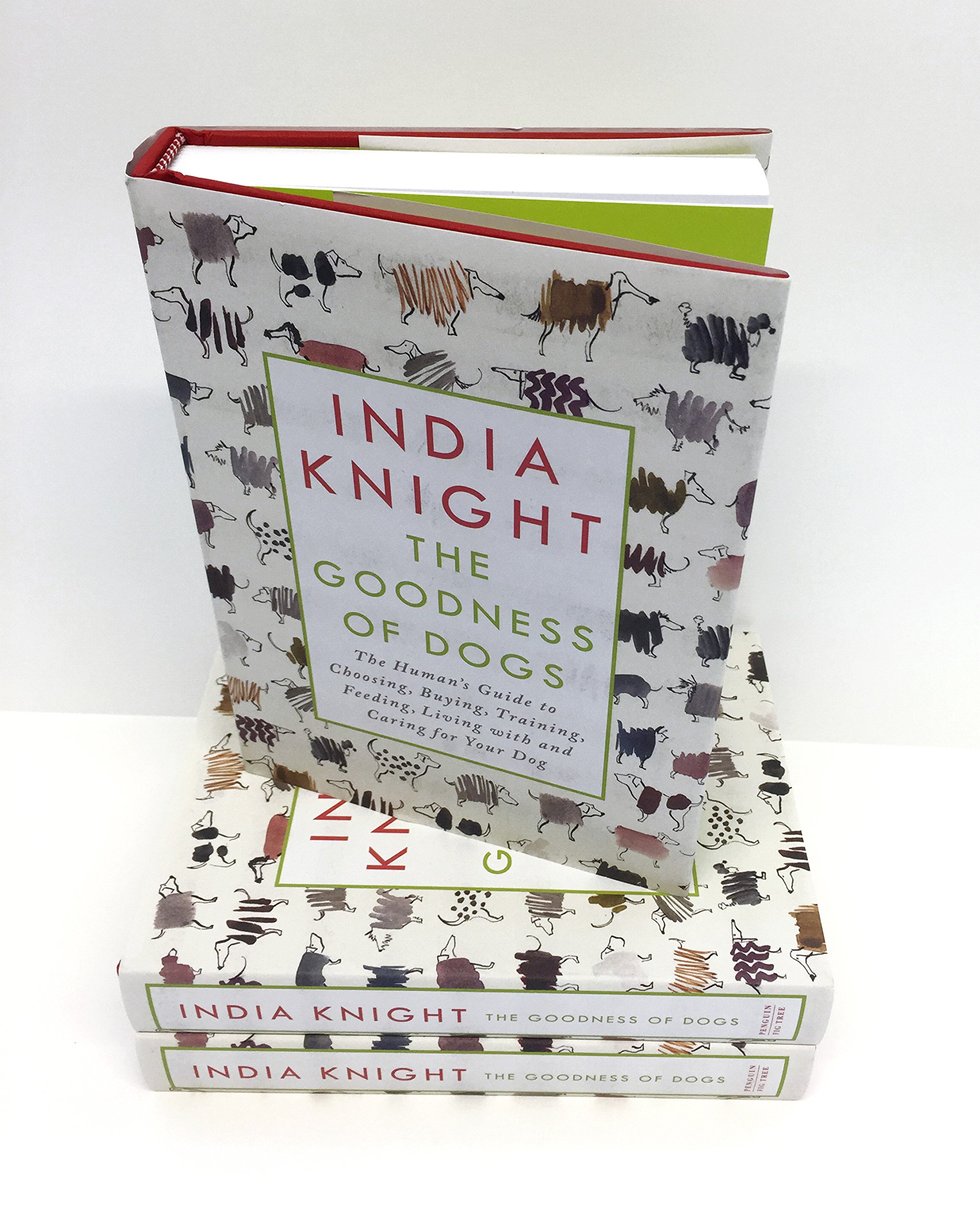 The Goodness of Dogs | India Knight - 4 | YEO