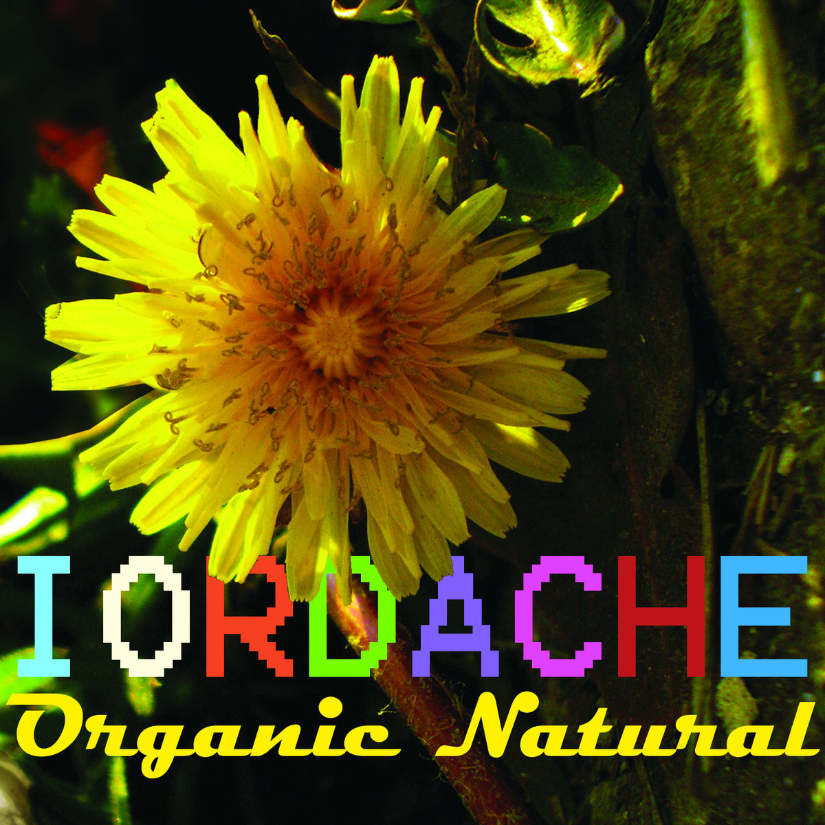 Organic natural | Iordache