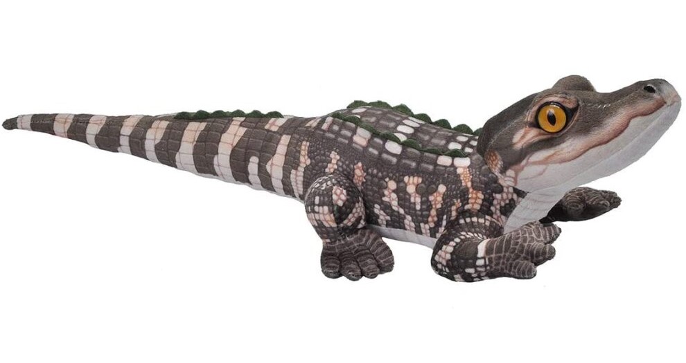 Jucarie de plus - Pui de aligator 30 cm | Wild Republic