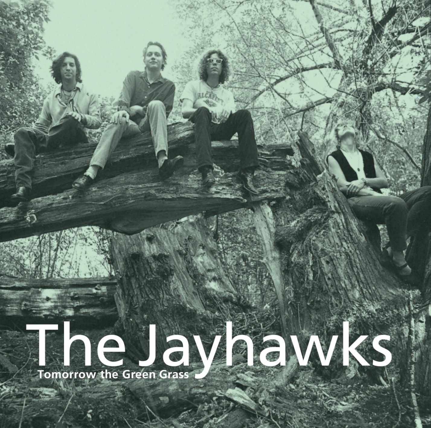 Tomorrow The Green Grass - Vinyl | Jayhawks