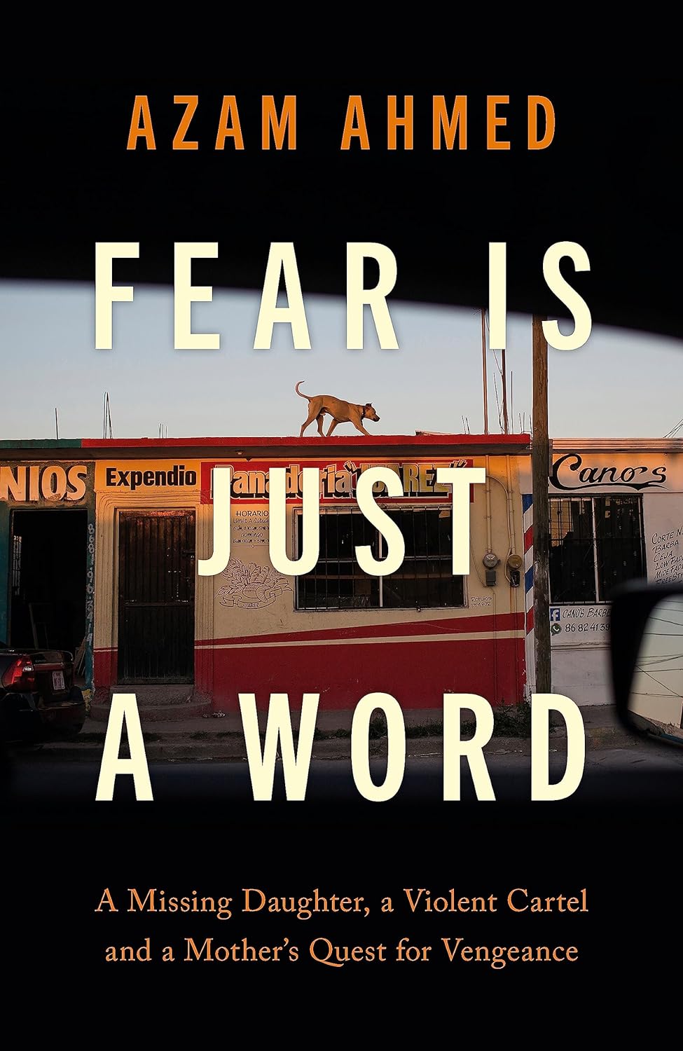 Fear is Just a Word | Azam Ahmed