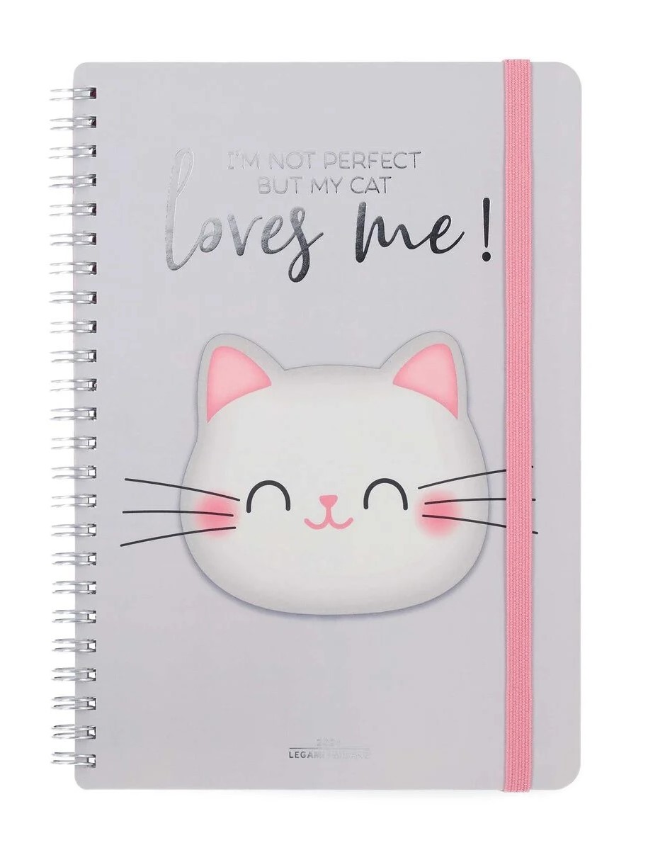 Agenda 2024 - 12 Month Weekly Diary - Large - Spiral Bound - Kitty
