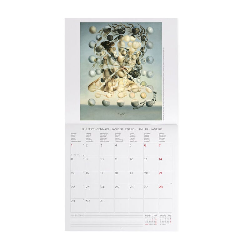 Calendar de perete 2024 - Salvador Dali, 30x29 cm | Legami