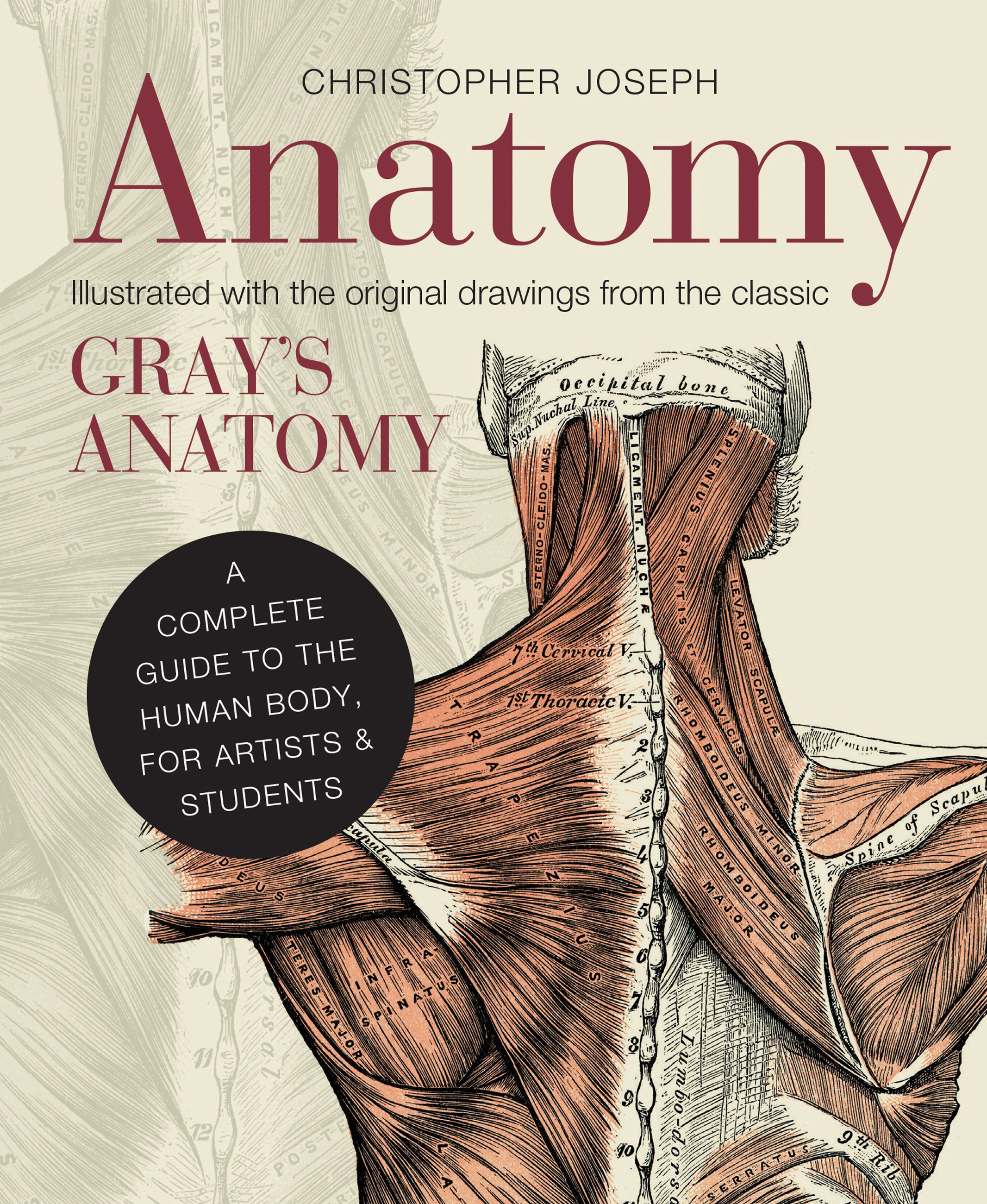 Anatomy | Christopher Joseph