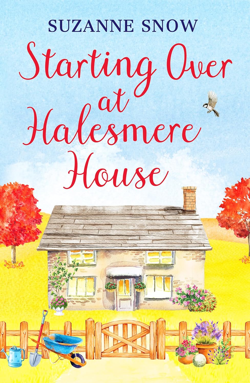 Starting Over at Halesmere House | Suzanne Snow