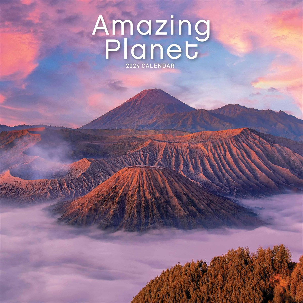 Calendar 2024 - Amazing Planet | Carousel