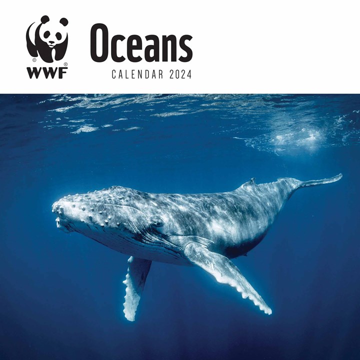 Calendar 2024 - Oceans WWF | Carousel