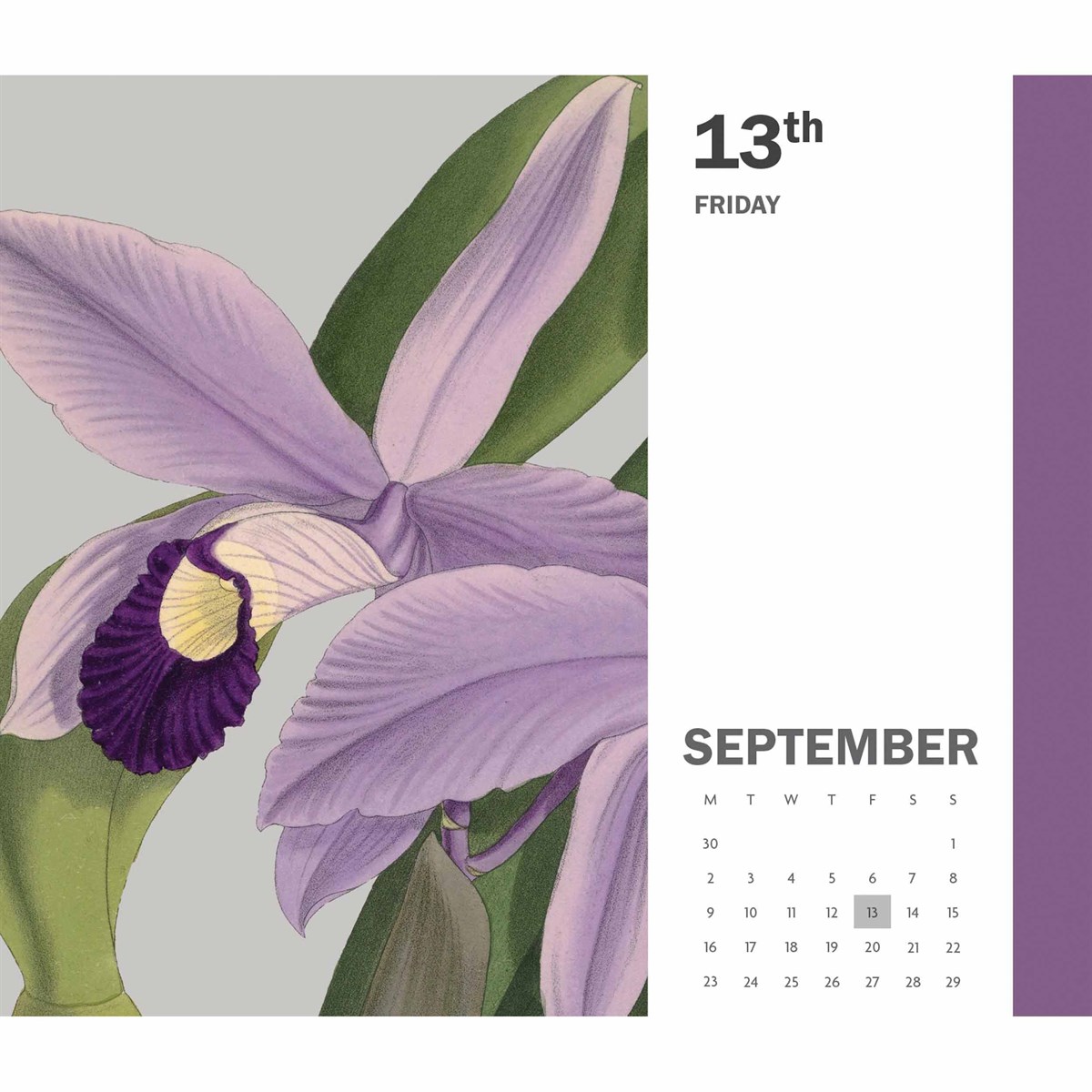 Calendar 2024 - Royal Botanic Gardens Kew | Carousel - 4 | YEO