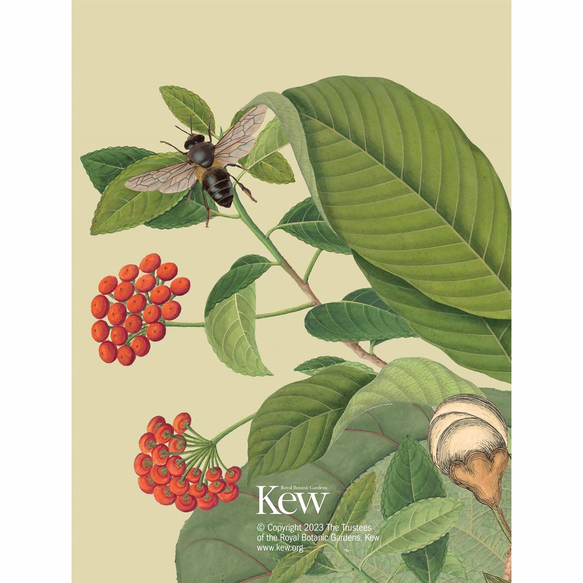 Agenda 2024 - Royal Botanic Gardens Kew Weekly Deluxe Diary | Carousel - 1 | YEO