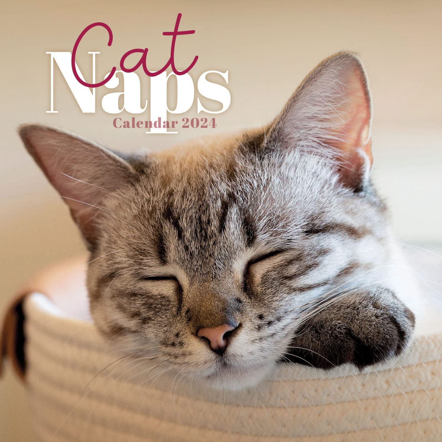 Calendar 2024 - Cat Naps | Carousel