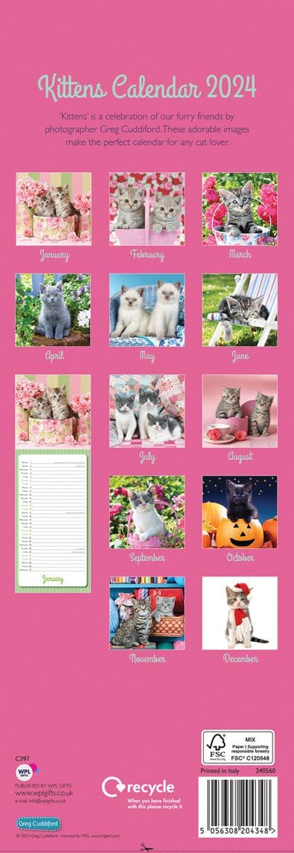 Calendar 2024 - Kittens By Greg Cuddiford | Carousel