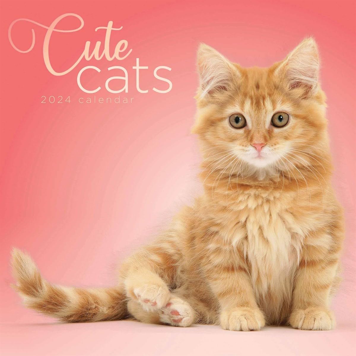 Calendar 2024 - Cute Cats | Carousel