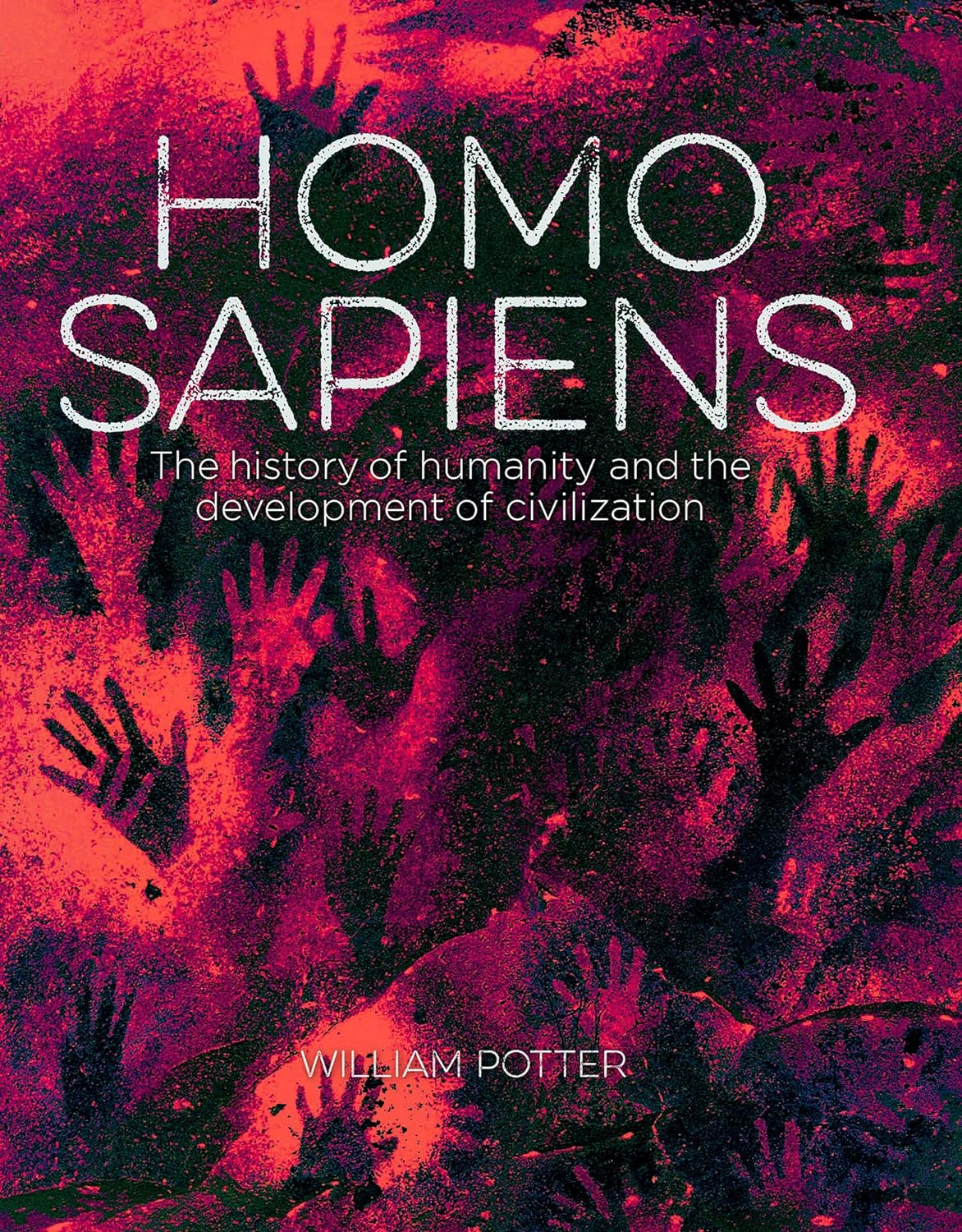 Homo Sapiens | William (Author) Potter