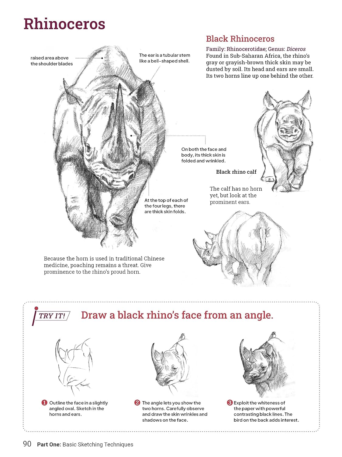 How to Draw Animals | Sadao Naito - 8 | YEO