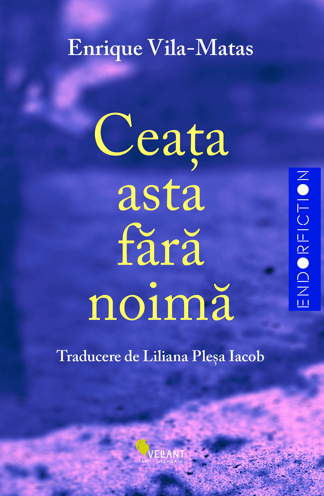 Ceata asta fara noima | Enrique Vila-Matas - 7 | YEO