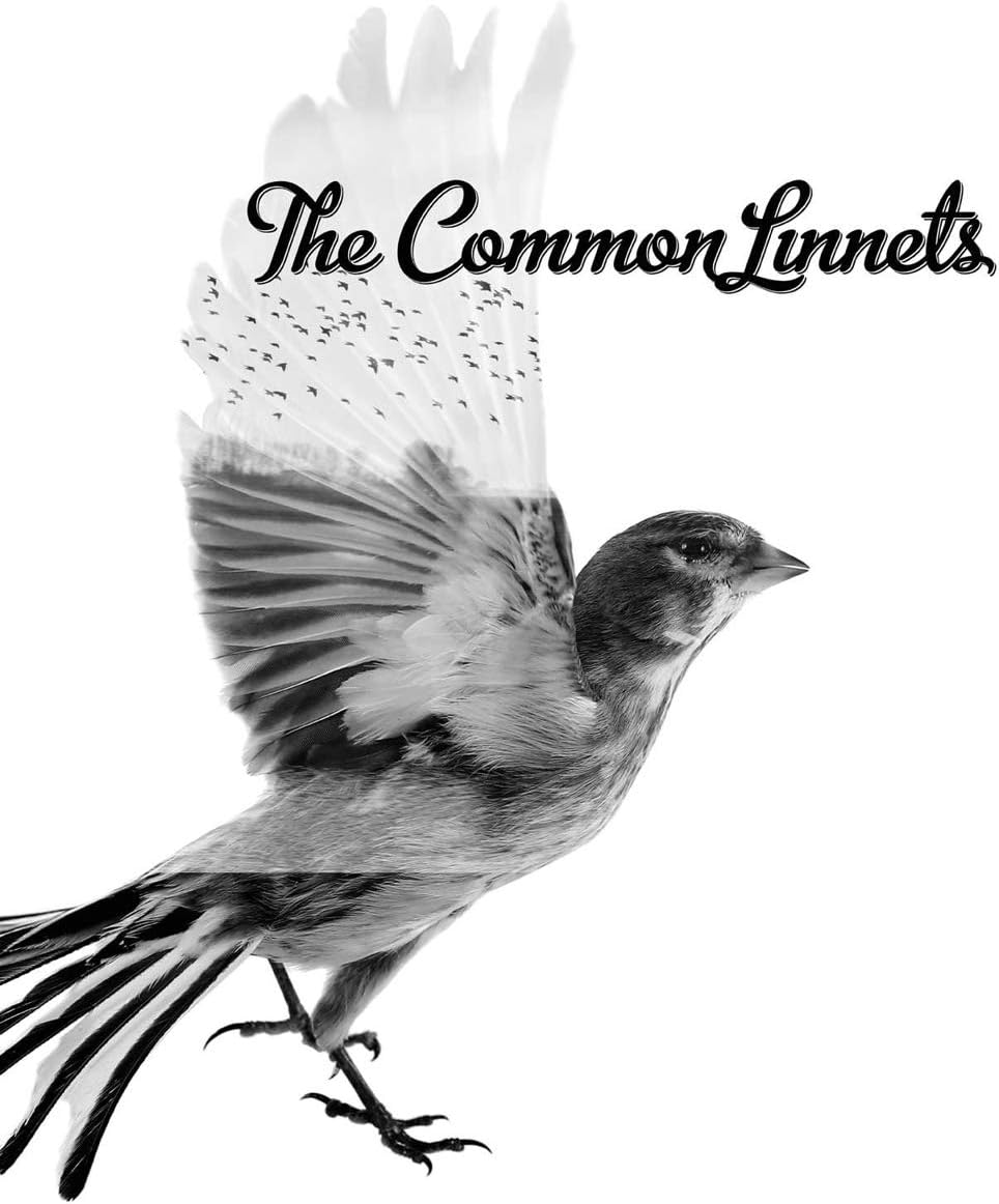 The Common Linnets | The Common Linnets