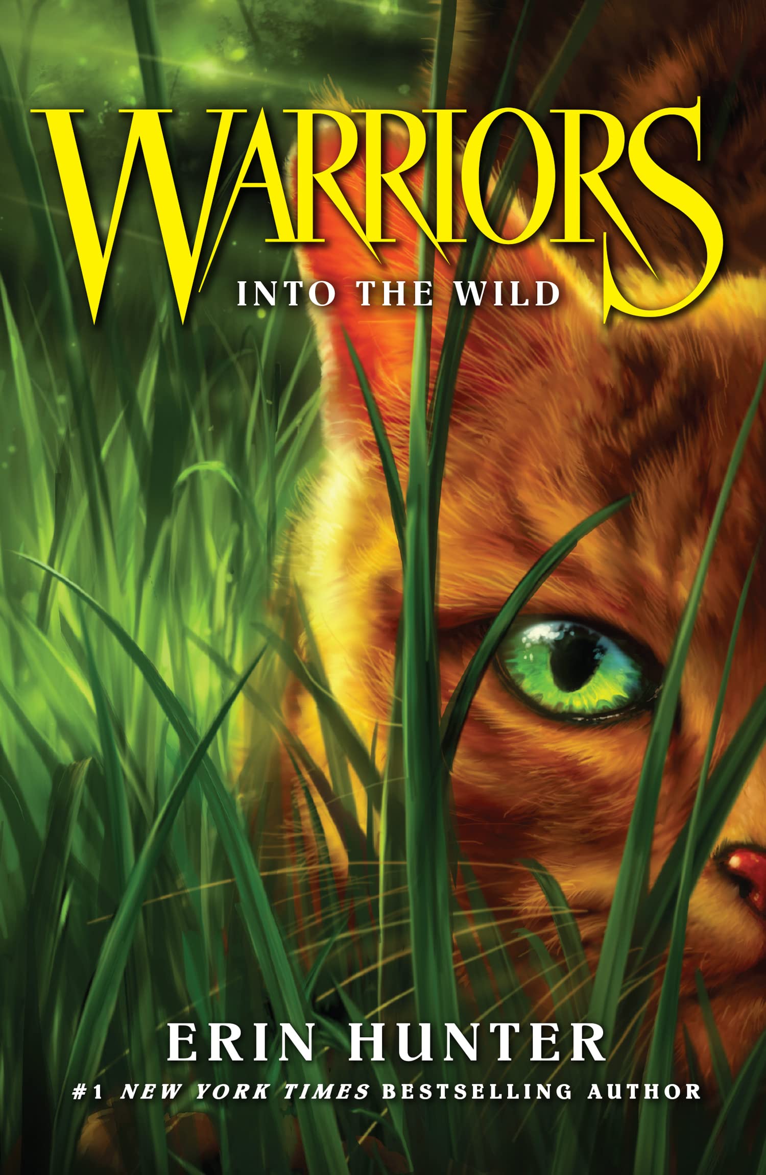 Into the Wild - Warrior Cats | Erin Hunter
