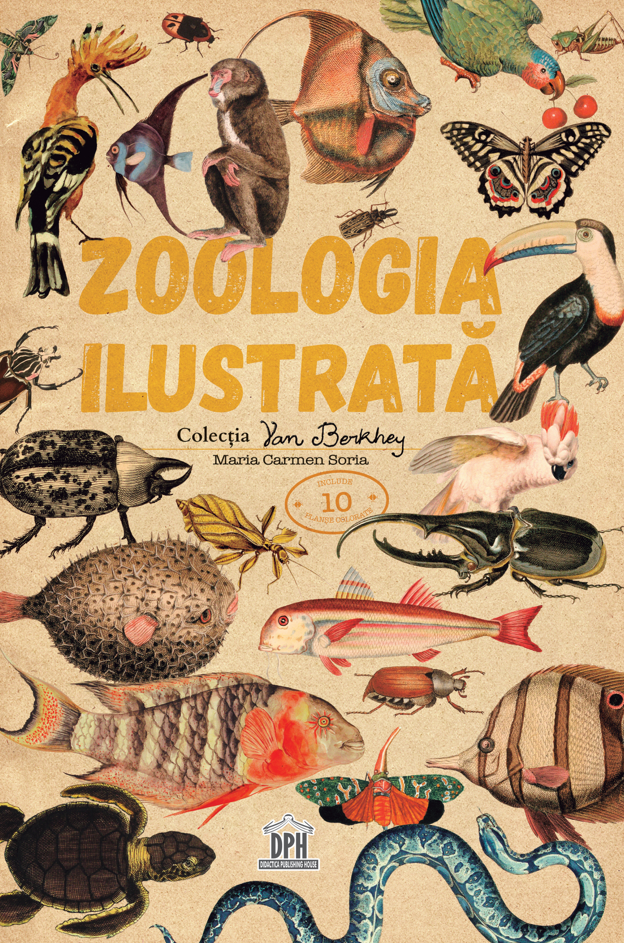 Zoologia ilustrata | Maria Carmen Soria