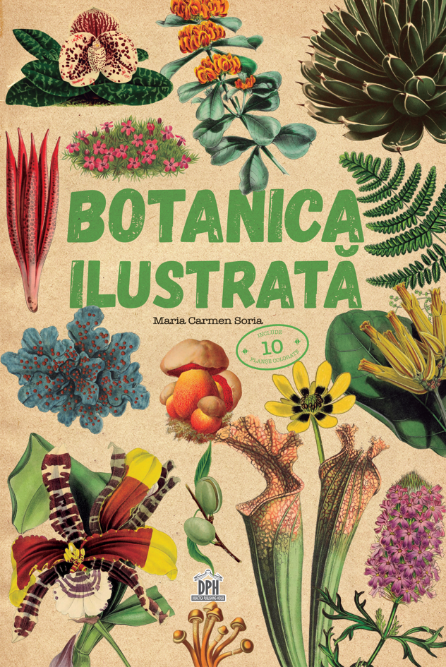 Botanica ilustrata | Maria Carmen Soria