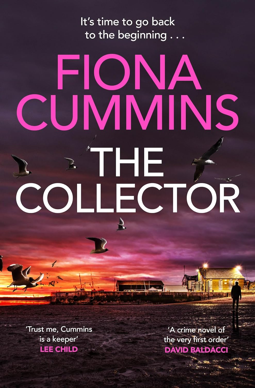 The Collector | Fiona Cummins - 1 | YEO