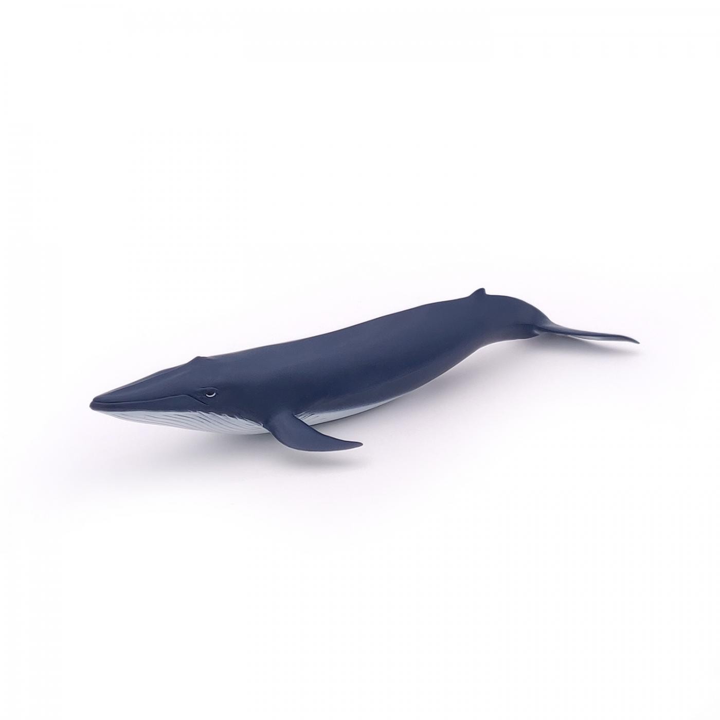 Figurina - Marine Life - Blue whale calf | Papo