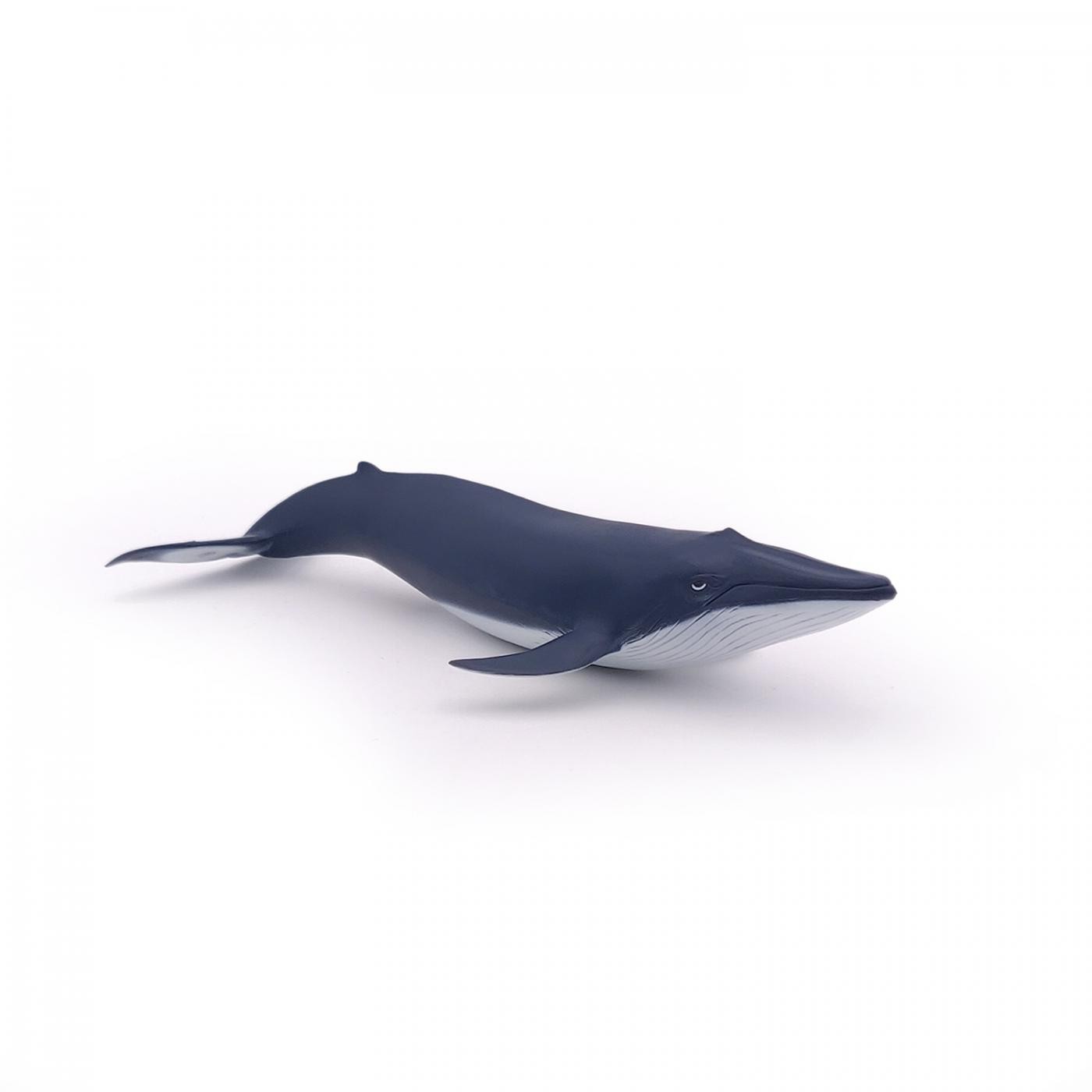 Figurina - Marine Life - Blue whale calf | Papo - 1 | YEO