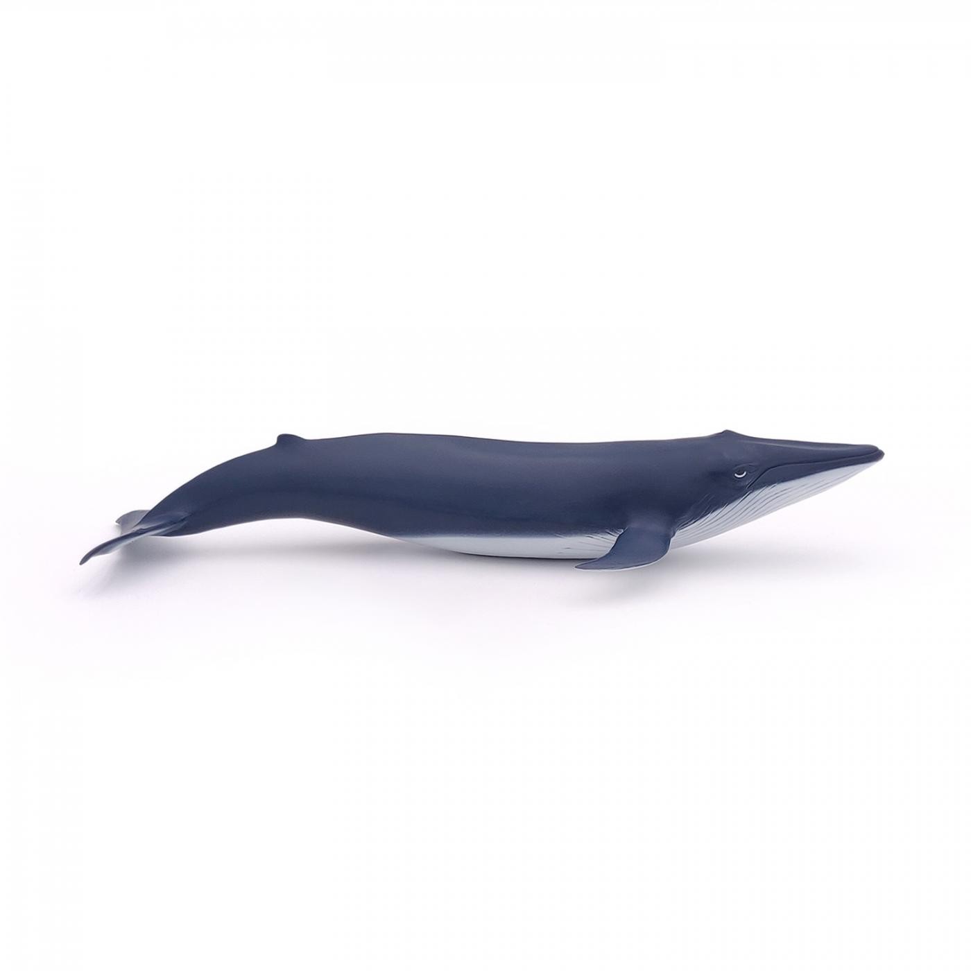 Figurina - Marine Life - Blue whale calf | Papo - 2 | YEO