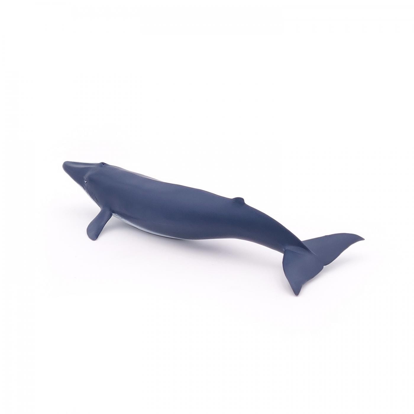 Figurina - Marine Life - Blue whale calf | Papo - 3 | YEO