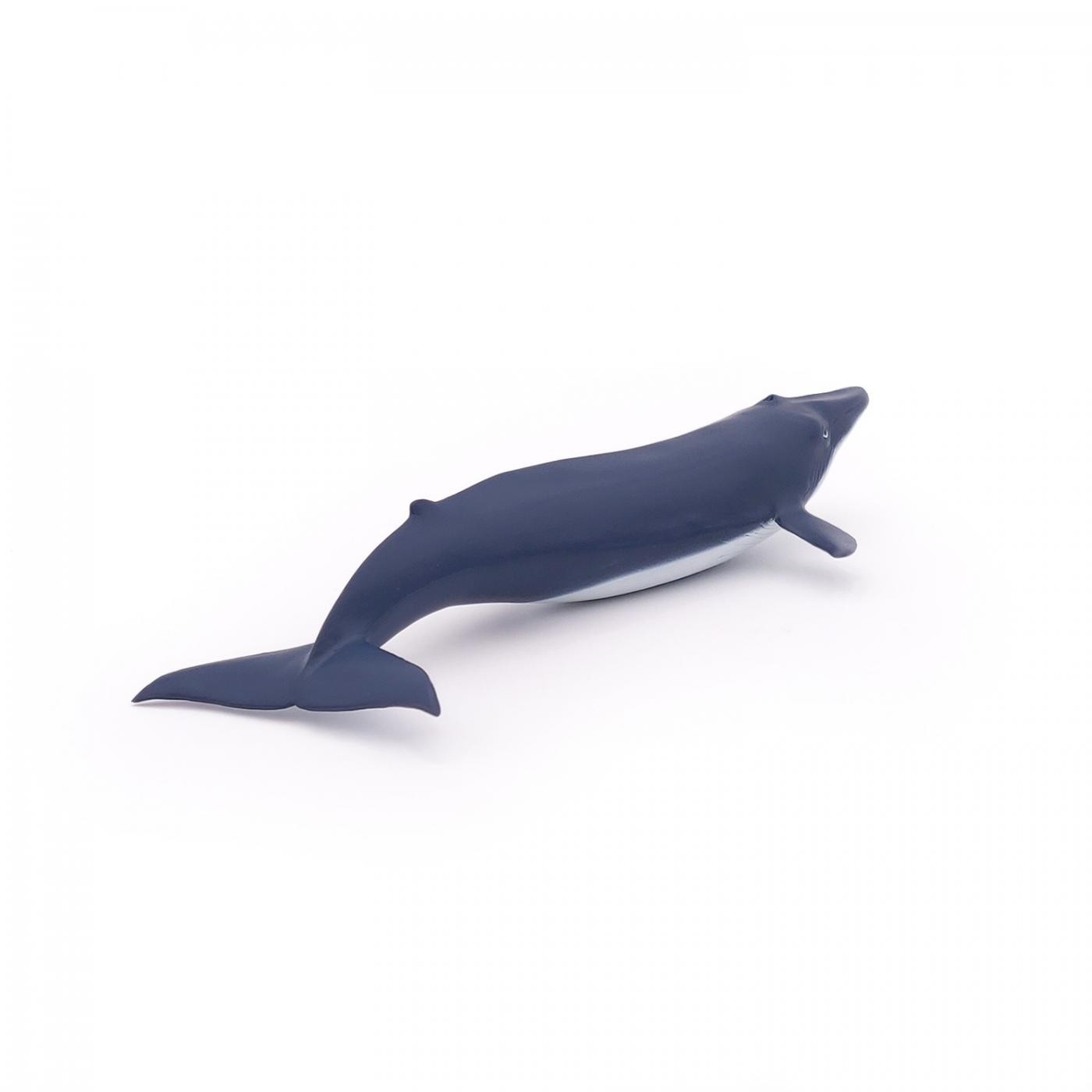 Figurina - Marine Life - Blue whale calf | Papo - 4 | YEO