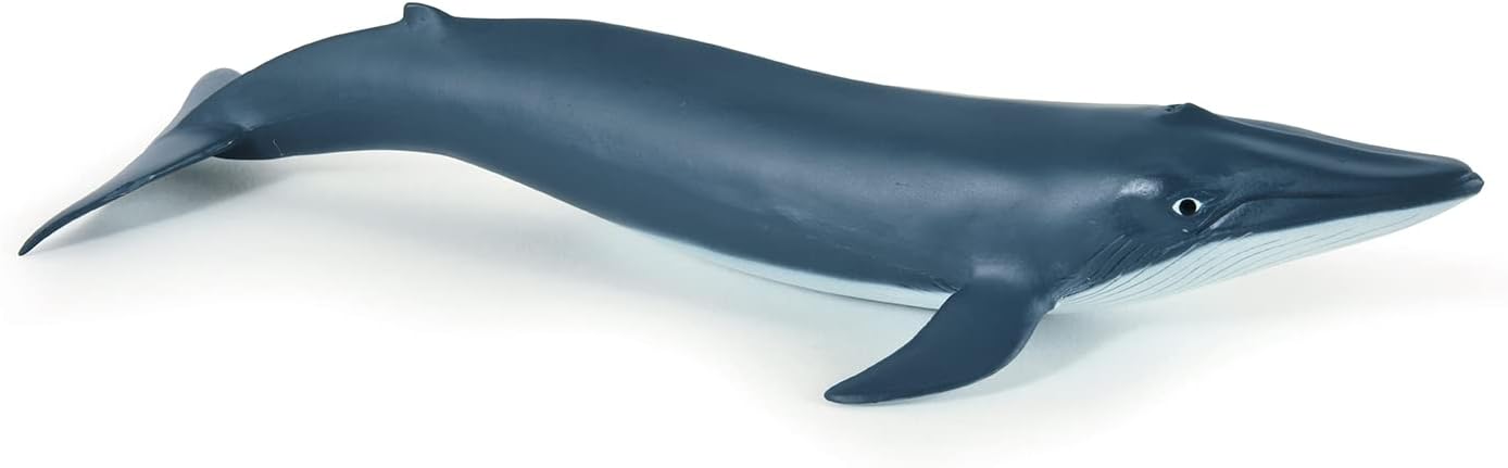 Figurina - Marine Life - Blue whale calf | Papo - 5 | YEO