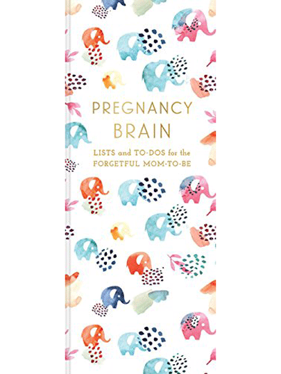 Carnet - Pregnancy Brain Lists and To-Dos | Chronicle Books