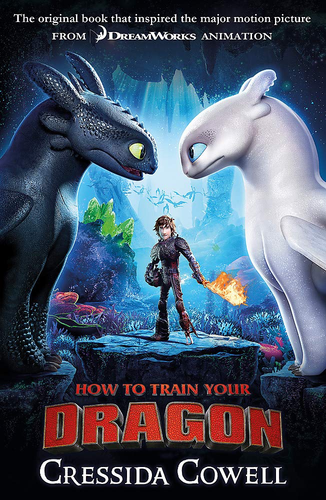 How to Train Your Dragon: Book 1 | Cressida Cowell