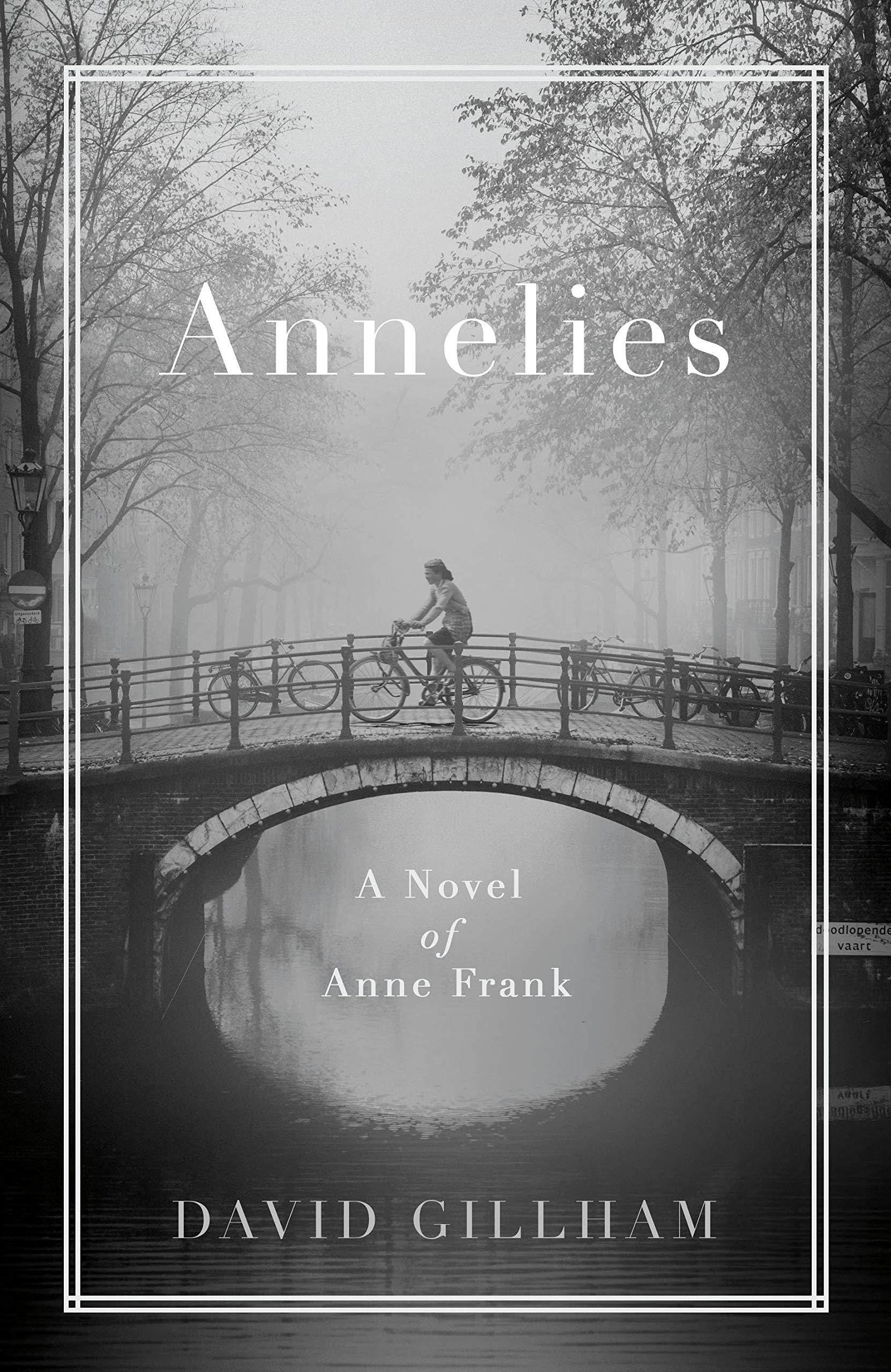 Annelies | David Gillham image