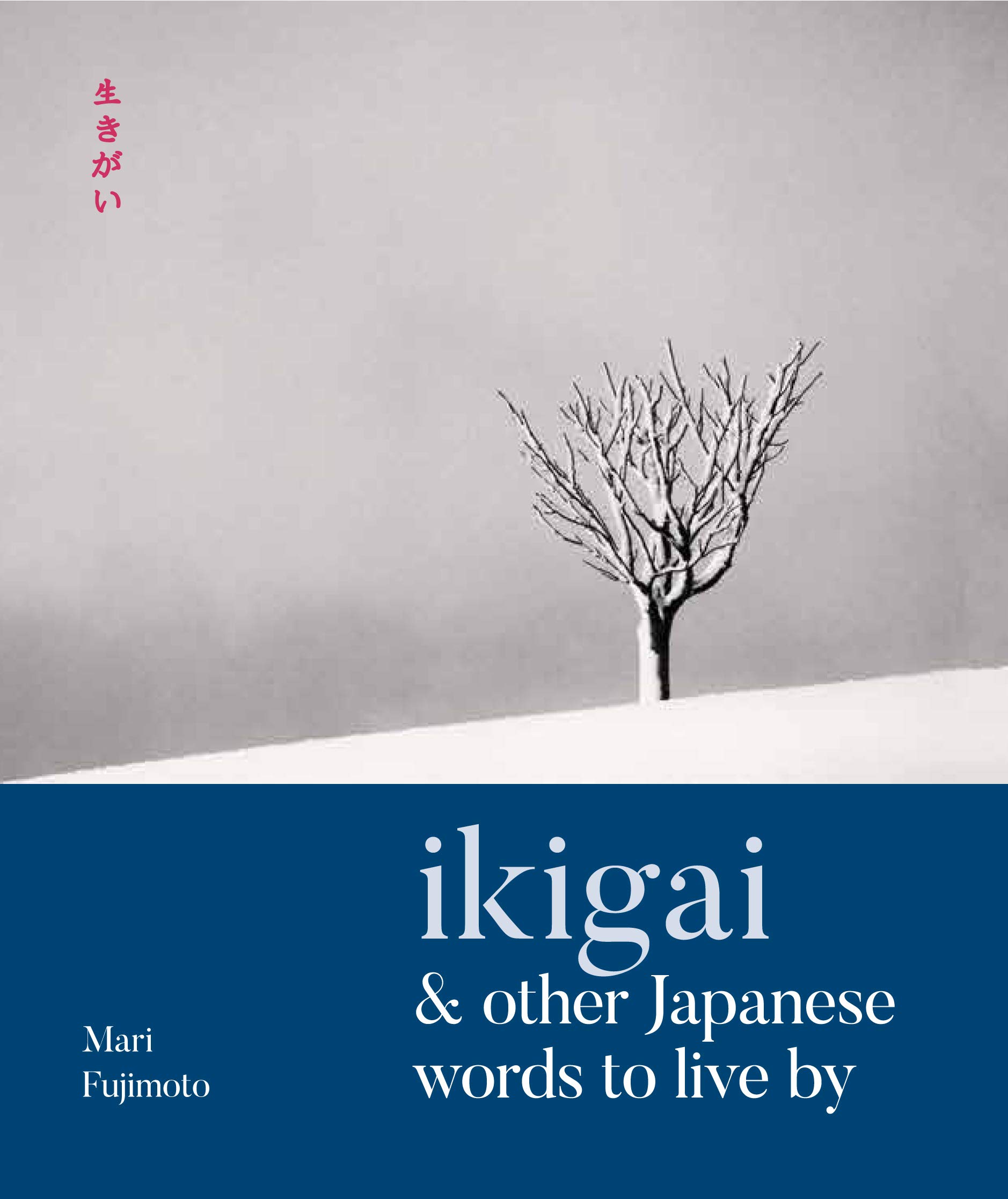 Ikigai & Other Japanese Words to Live By | Mari Fujimoto
