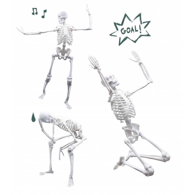 Jucarie educativa - Skeleton 45 cm | Buki - 2 | YEO