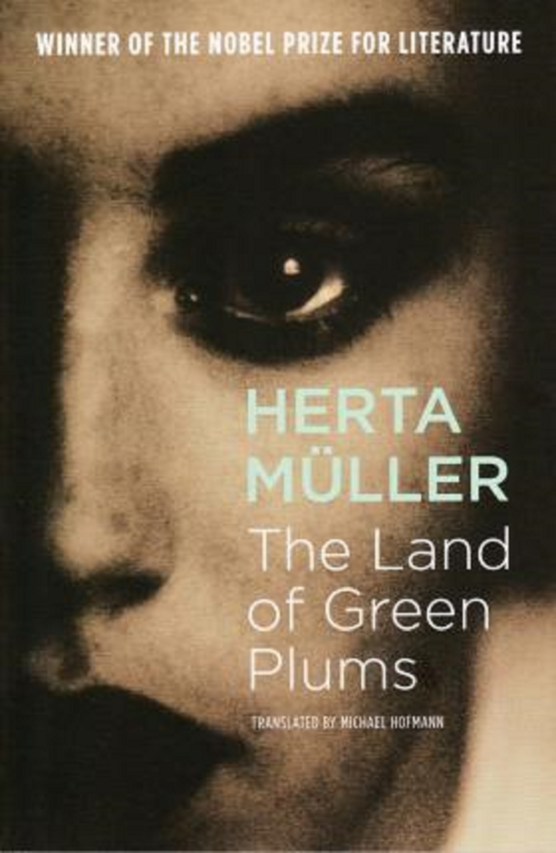 The Land Of Green Plums | Herta Muller