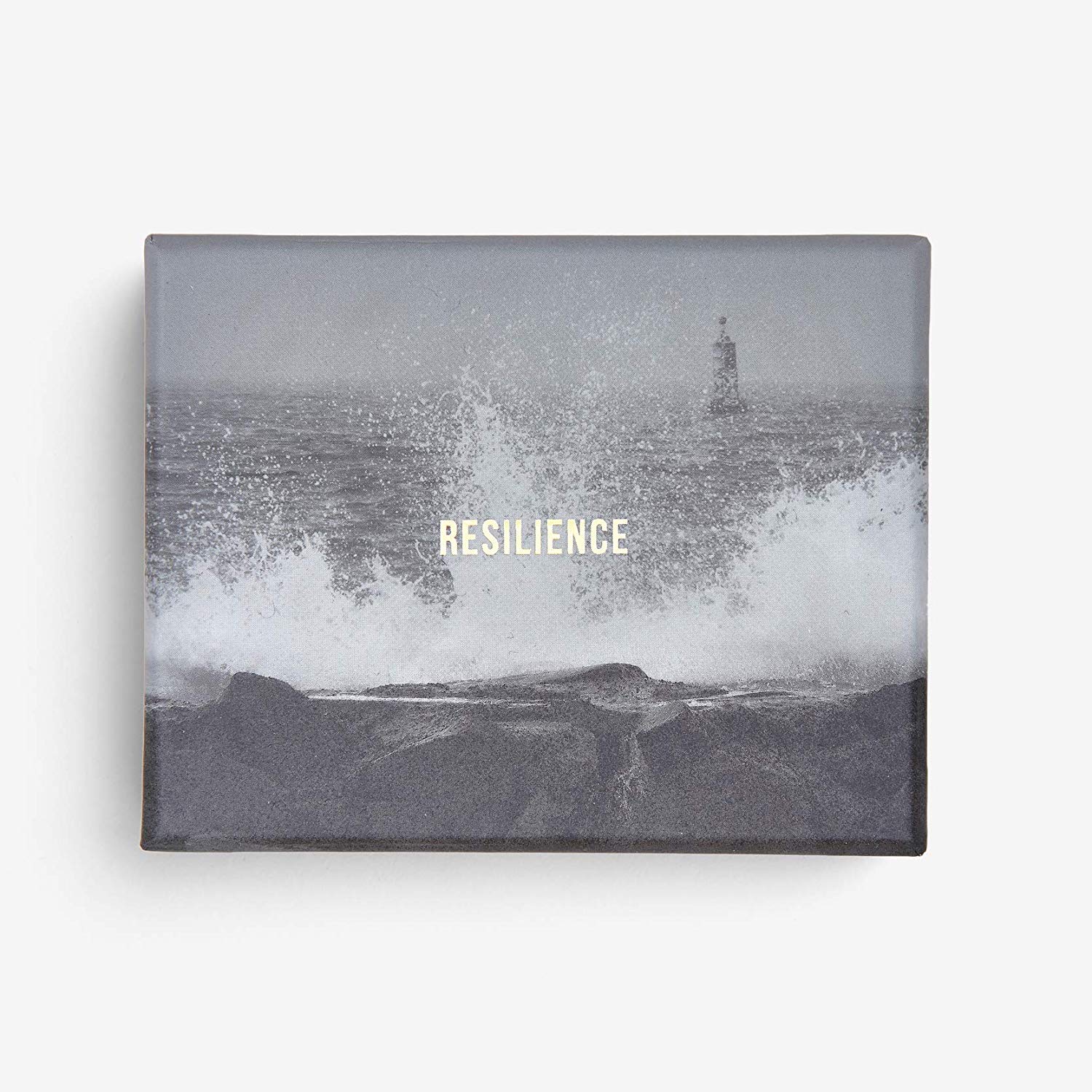 Resilience Cards - Find Confidence in The Face of Adversity |