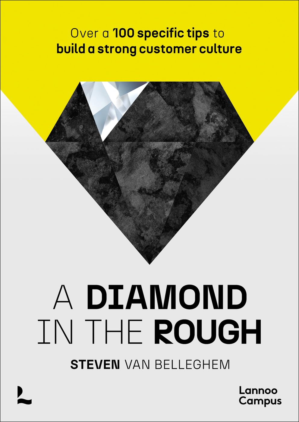 A Diamond in the Rough | Steven Van Belleghem