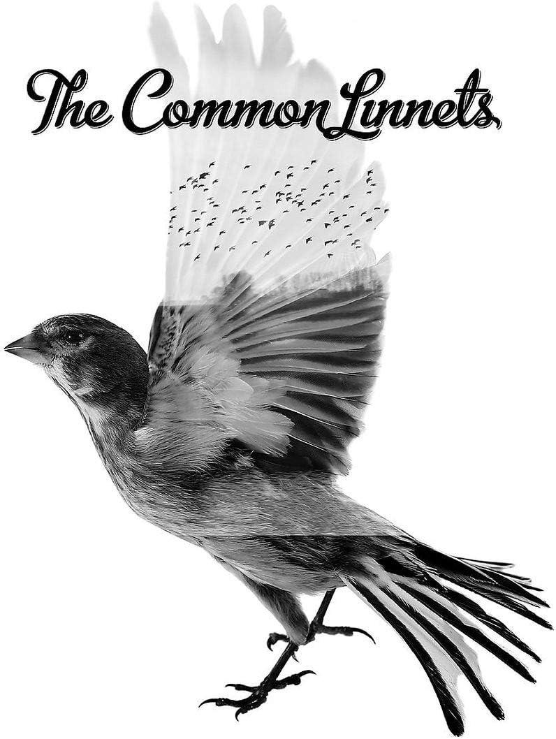 The Common Linnets | The Common Linnets